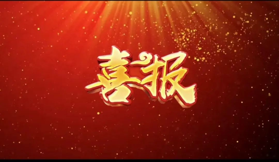 荣誉 | 瓦力游戏荣获&ldquo;2023年杜着秀合作同伴奖，共建共享共赢的范例&rdquo;